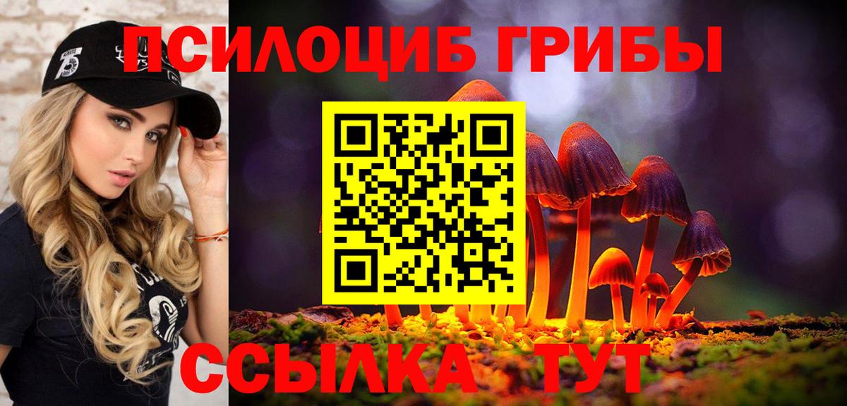 Ростов Великий  Псилоцибиновые грибы Magic Shrooms  Вход с VPN 