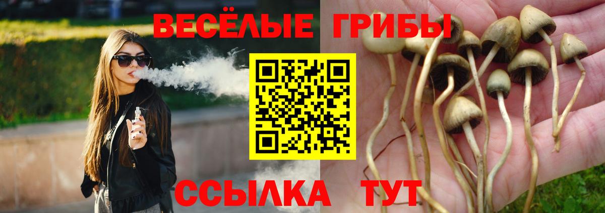 Галлюциногенные грибы прущие грибы Ростов Великий